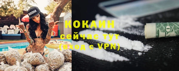 крисы Краснослободск