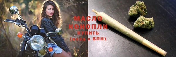 крисы Краснослободск