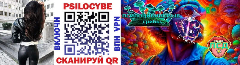 Галлюциногенные грибы Magic Shrooms  Купить  Новомосковск 